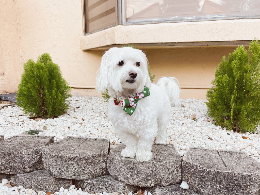 HUMITA NAVIDAD VERDE