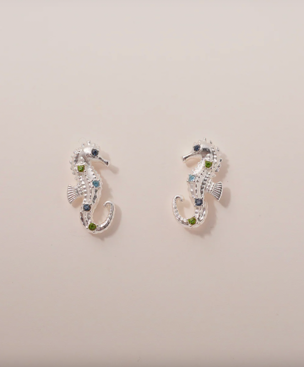 Aros Caballito de Mar Plata