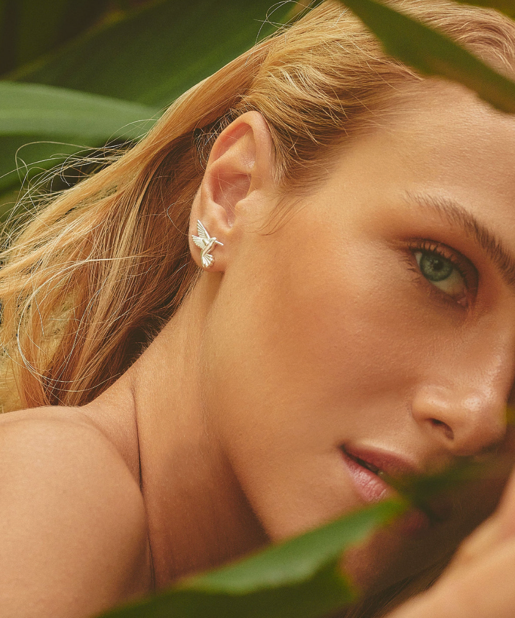 Aros Colibrí Plata