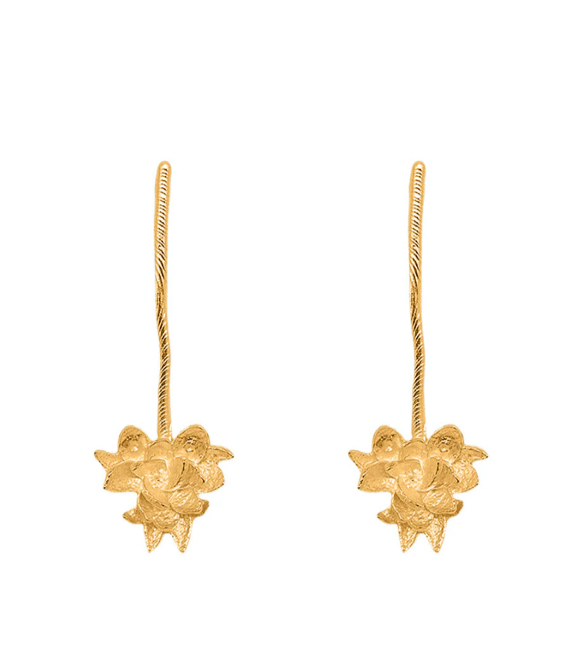 AROS BLOOM