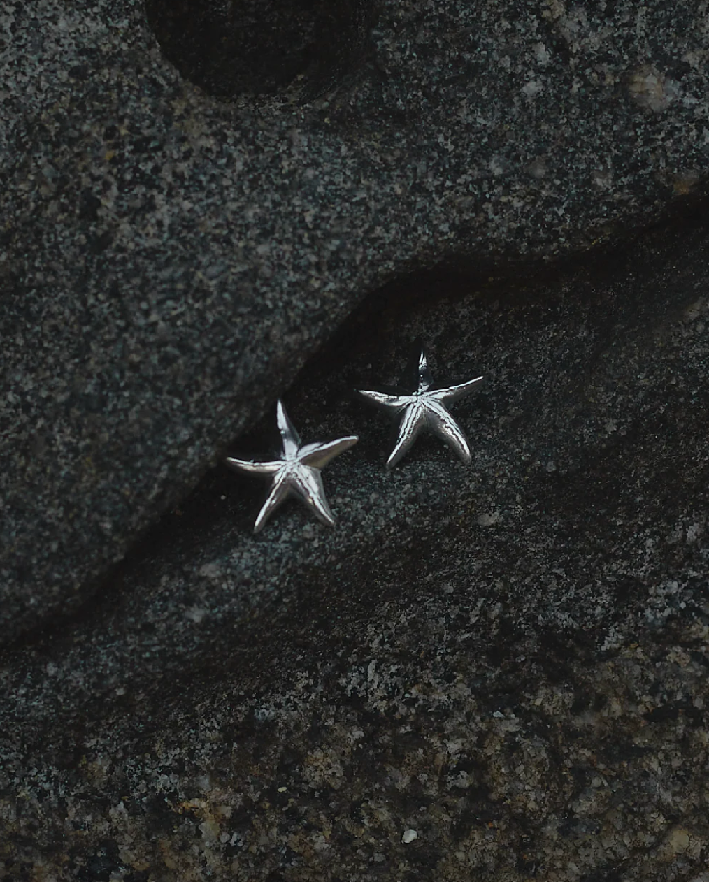 Aros Estrella de Mar Plata