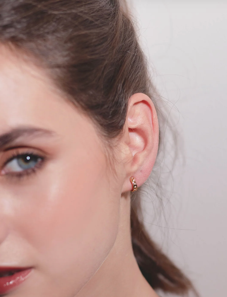 Set Collar y Argollas Charms