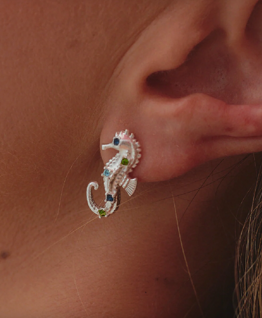 Aros Caballito de Mar Plata