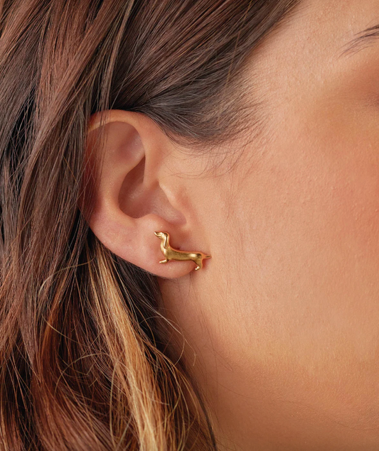 Aritos Perro Salchicha